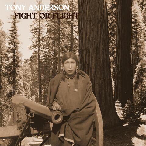 Fight or Flight