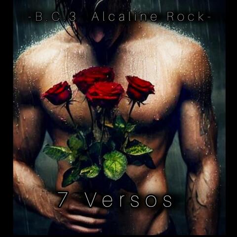 7 Versos
