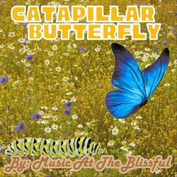 Caterpillar Butterfly