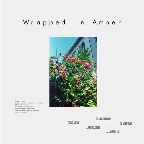 Wrapped In Amber