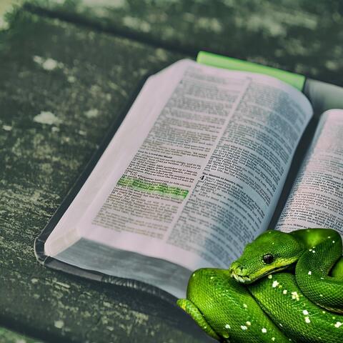 Basic Instructions Before Leaving Earth Bible