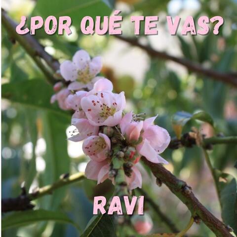 ¿Por qué te vas?