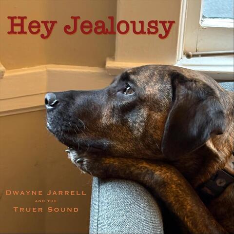 Hey Jealousy