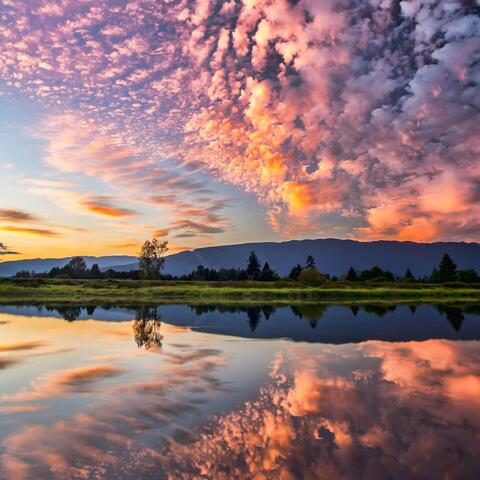 Whispered Landscapes