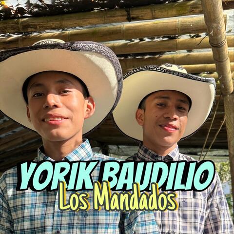 Los Mandados