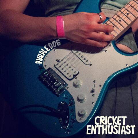 Cricket Enthusiast