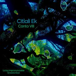 Canto VIII (La Luz Impronunciable)