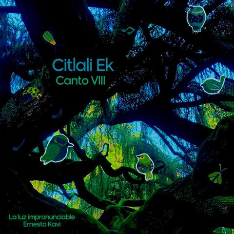 Canto VIII (La Luz Impronunciable)