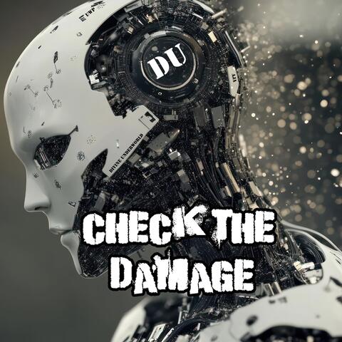 Check the Damage