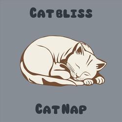 Aurora of Dreaming Cats