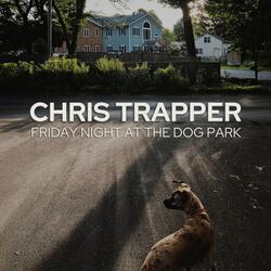 Friday Night At The Dog Park