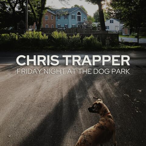 Friday Night At The Dog Park