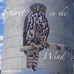 Spirit in the Wind