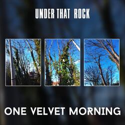 One Velvet Morning