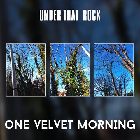 One Velvet Morning