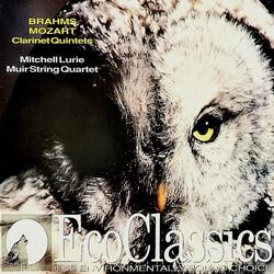 Quintet for Clarinet and String Quartet in B Minor, Op. 115: I. Allegro