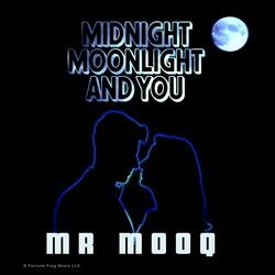 Midnight Moonlight and You