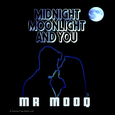 Midnight Moonlight and You
