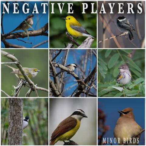 Minor Birds