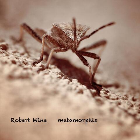 Metamorphis