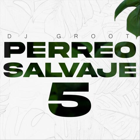 Perreo Salvaje 5 (Mix Reggaetón Old School)