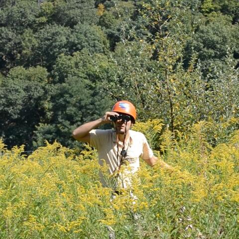 Monophonic Love Song