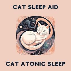 Cat Nap Calm Vibes