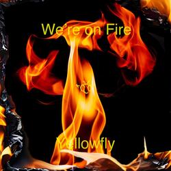 We're on Fire