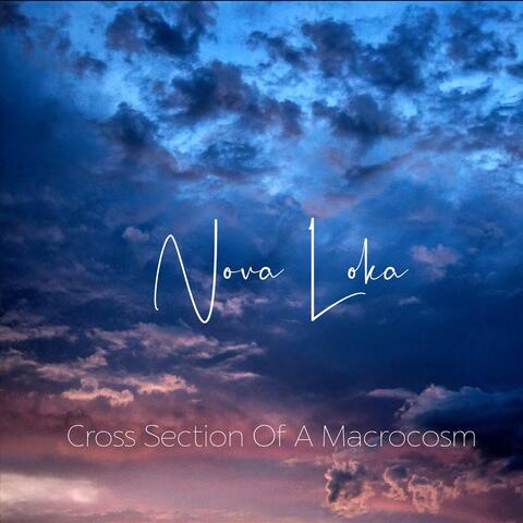 Cross Section of a Macrocosm