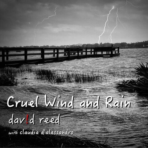 Cruel Wind and Rain (feat. Claudia d'Alessandro)