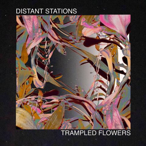 Trampled Flowers