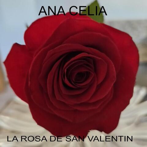 LA ROSA DE SAN VALENTIN