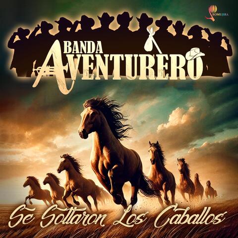 Se Soltaron Los Caballos