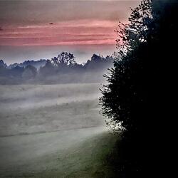 Fogs in August