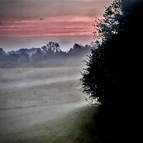 Fogs in August