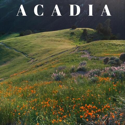 Acadia