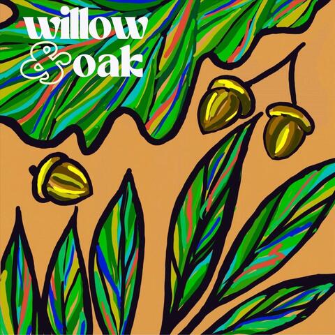 Willow & Oak