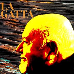 La Gatta (Live)
