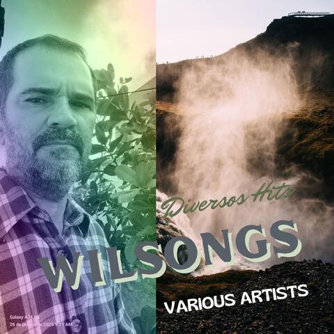 Wilsongs: Diversos Hits