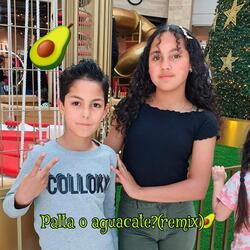 Palta o Aguacate? (Alternate Mix)