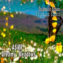 Asmr Dreamy Spring Sounds & Echo
