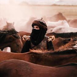 نشيد لملمة شتات