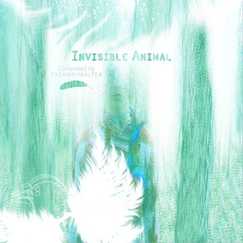 Invisible Animal