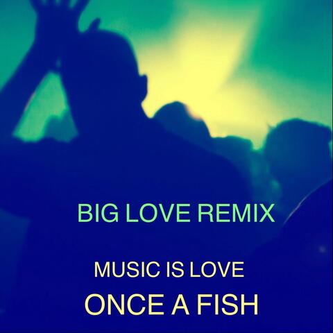 Music is Love - Big Love Remix