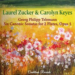 Sonata IV for Two Flutes in D minor, Op. 5: III. Presto