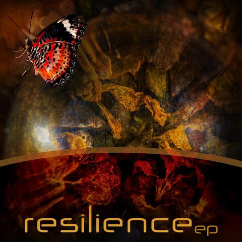 Resilience