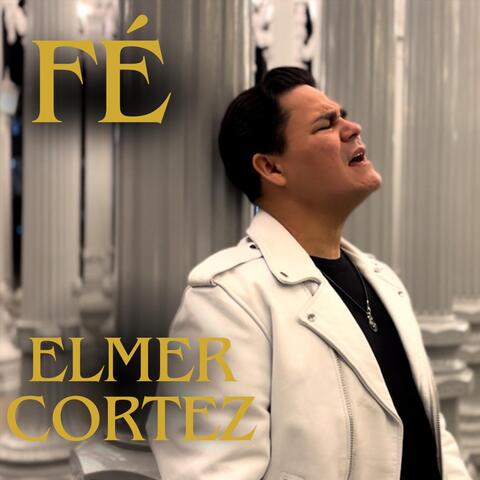 Fe