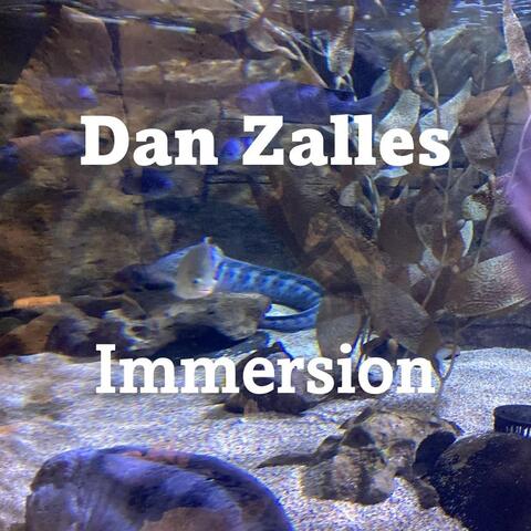 Immersion