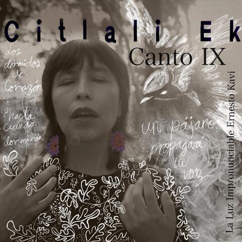 Canto IX (La Luz Impronunciable)