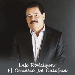 Ven, Devórame Otra Vez (En Vivo)